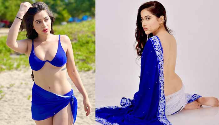Urfi Javed wore a saree without blouse, pictures on social media,