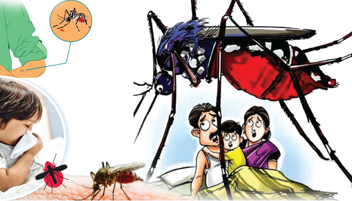 Dengue se Savdhan: Be careful with dengue