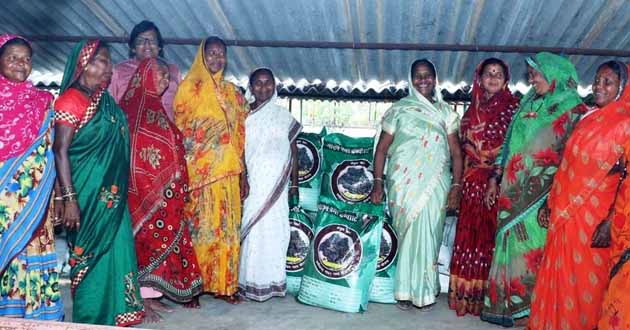Godhan Nyaya Yojana: Women earned Rs 21 lakh by selling lamps made from poultry and cow dung
