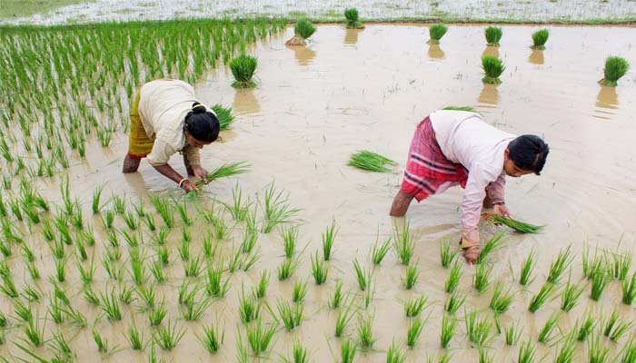 The area under Kharif crops will increase by one lakh hectare in the state this year.