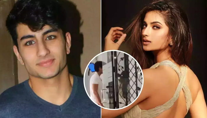Ibrahim Ali Khan and Palak Tiwari are dating each other, video goes viral