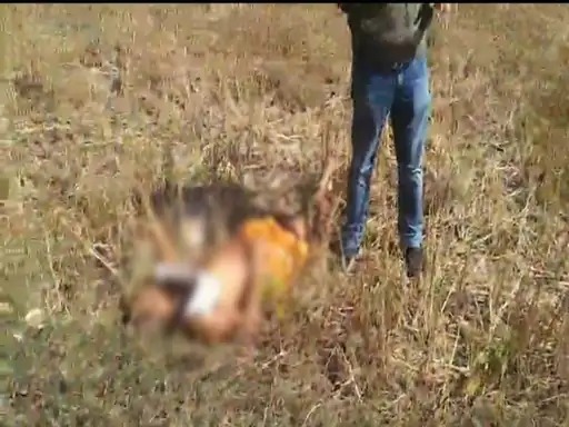 CG Maoists Killed BJP Leader :