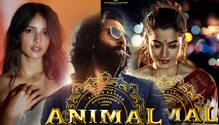 Ranbir took Rs 70 crore for 'Animal', while Trupti Dimri and Rashmika Mandanna got...