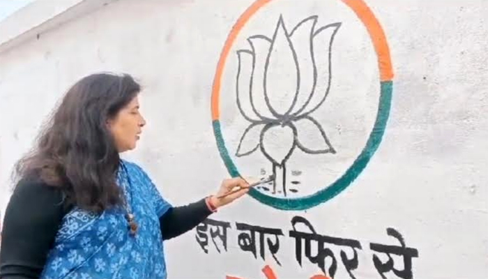 Rajya Sabha MP started wall writing campaign, carved lotus flower, also wrote slogan - This time 400…