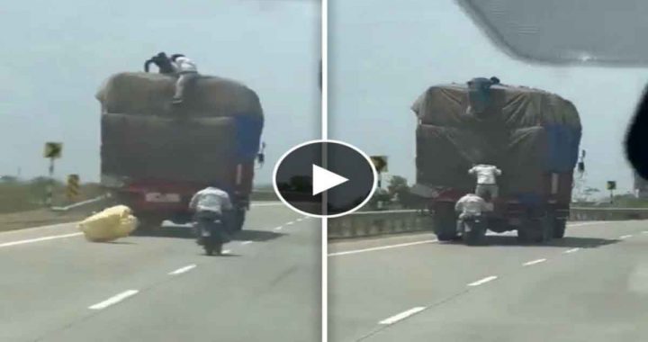 Theft of goods from moving trucks, on the Delhi-Mumbai Expressway video viral on social media,
