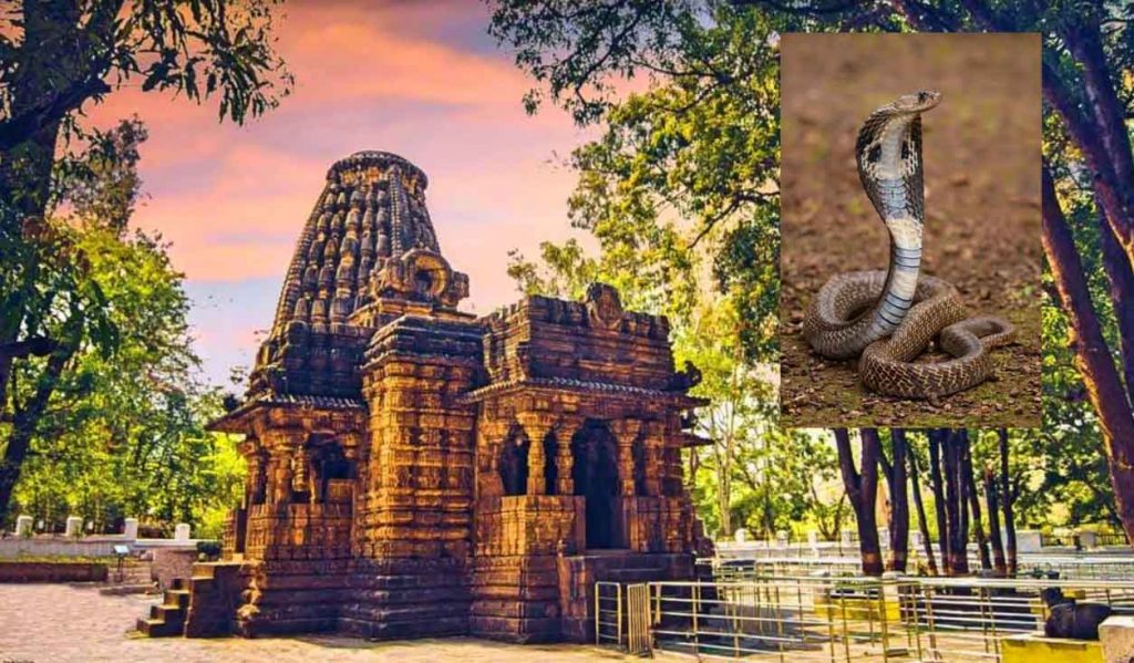 Bhoramdev Temple: The serpent god was seen on the peak of Bhoramdev temple, a long queue of devotees gathered to get darshan, VIDEO