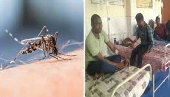 Jagdalpur Abujhmad Naxal operation STF jawan infected with malaria