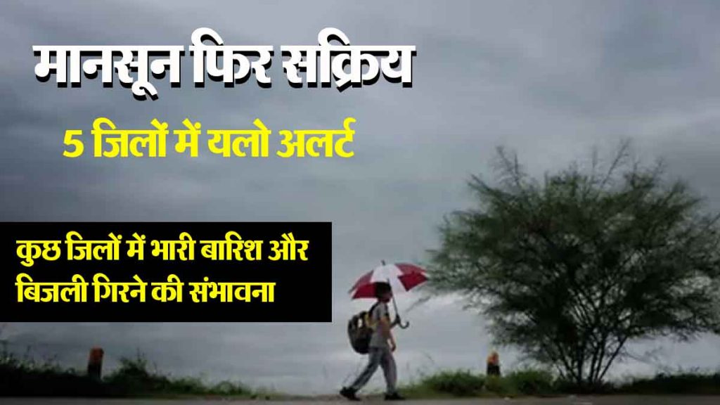 Monsoon is active again, yellow alert in 5 districts, heavy rain is expected in these divisional districts