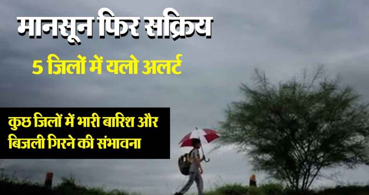 Monsoon is active again, yellow alert in 5 districts, heavy rain is expected in these divisional districts