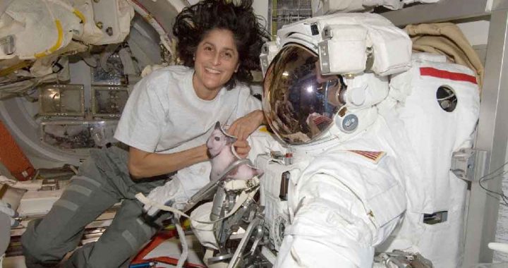 Sunita Williams' troubles increased in space; her health was affected, she fell victim to 'this' disease!