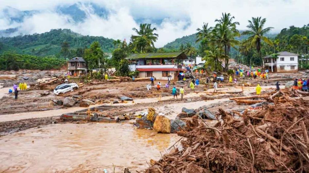 Nature's havoc is the result of playing with nature