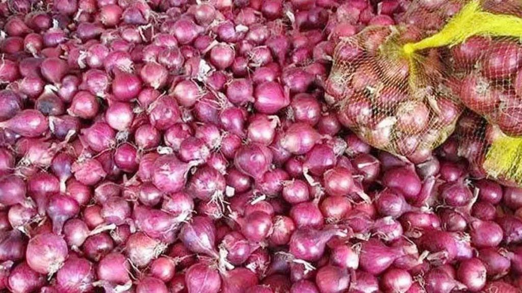 Rising onion prices spoil the domestic budget