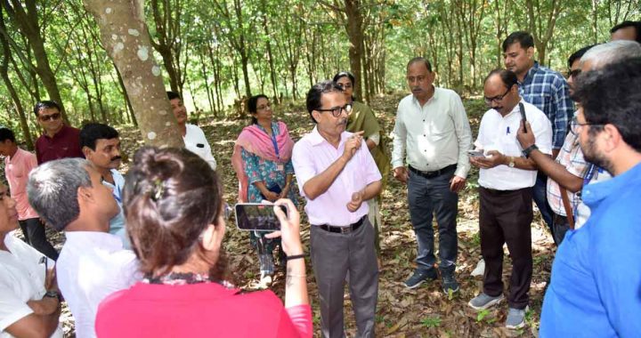 Bagma Rubber Plantation and Community Rubber Processing Centre changed the socio-economic scenario of Tripura