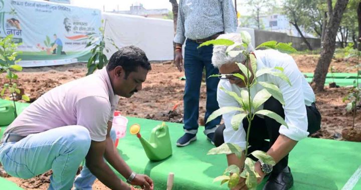 In SECL, the message of cleanliness was given by planting a tree in the name of mother in the cleanliness is service campaign.