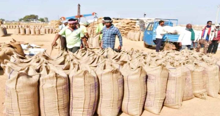 The system of paddy procurement centers should be improved