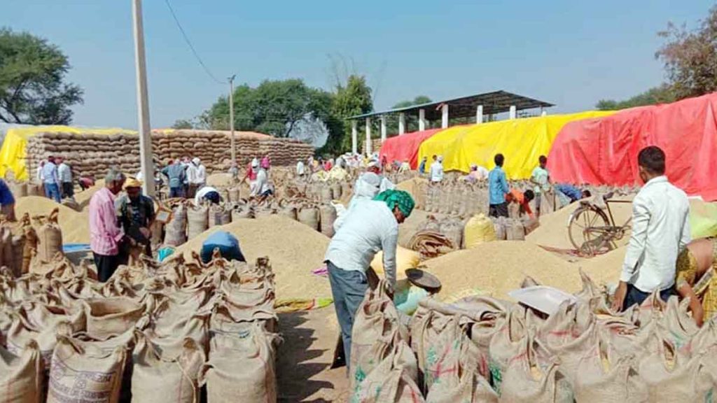 Registration of farmers for purchase of paddy and maize at support price till 31 October