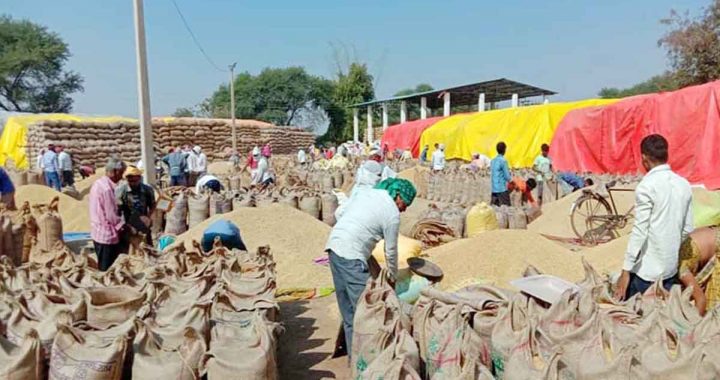 Registration of farmers for purchase of paddy and maize at support price till 31 October