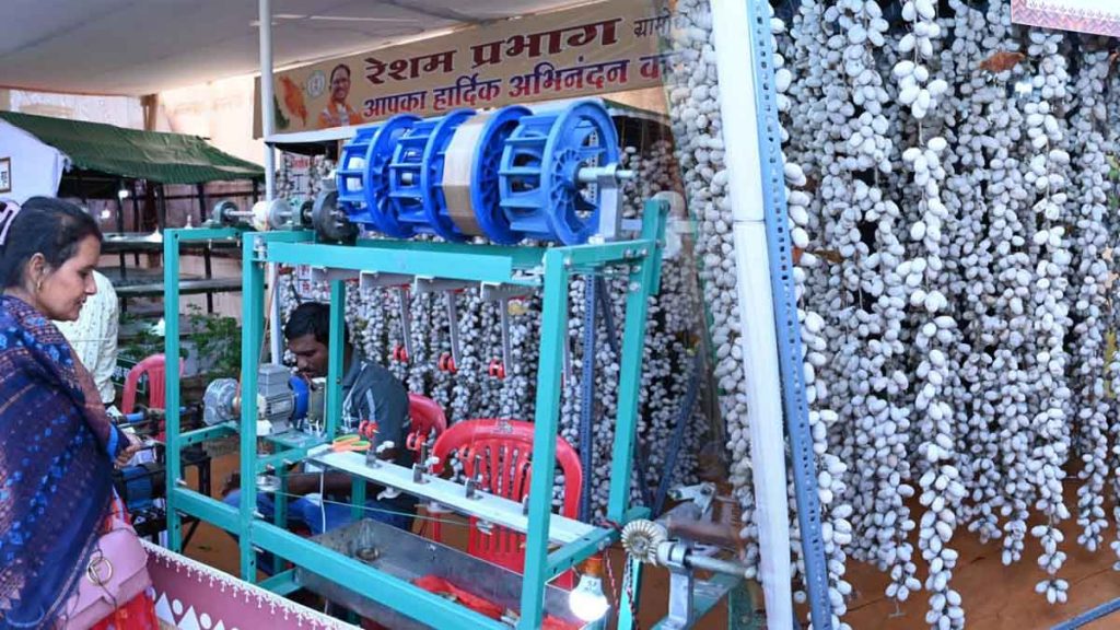 Rajyotsava-2024: Crowds throng to understand the process of silk production, white, coloured and yellow Mysore cocoon seeds become the centre of attraction