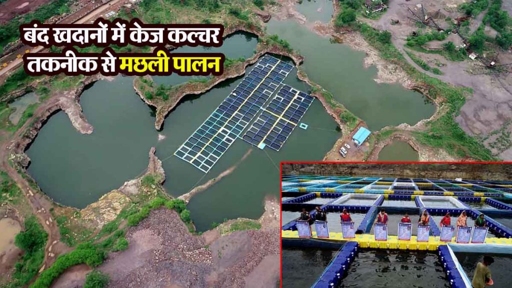 Fish farming using cage culture technology in closed mines has become a new source of employment and self-reliance.