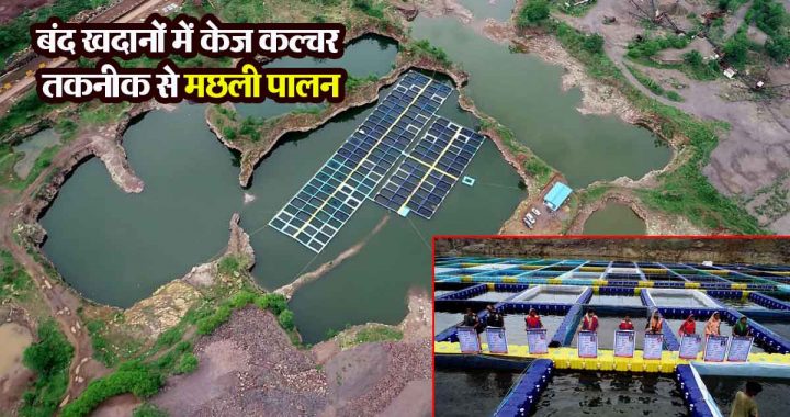 Fish farming using cage culture technology in closed mines has become a new source of employment and self-reliance.