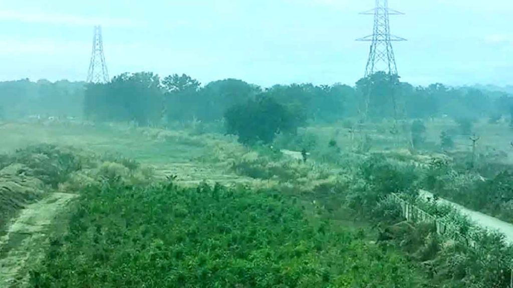 Vedanta Aluminium announces several initiatives to protect wildlife and restore habitats in its operations