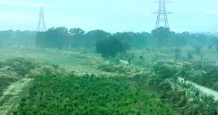 Vedanta Aluminium announces several initiatives to protect wildlife and restore habitats in its operations