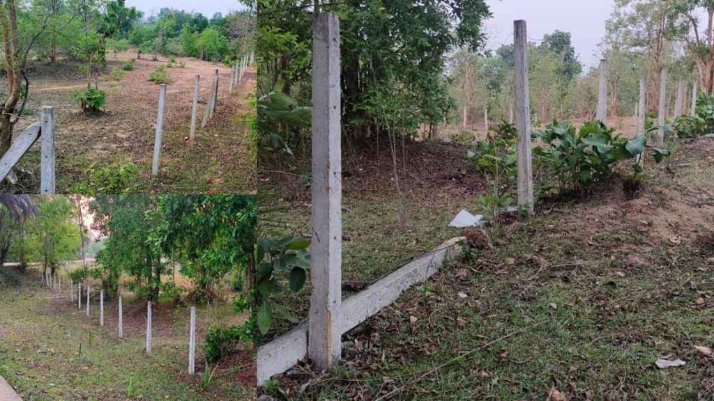 Wire fencing installed for the protection of forests is being stolen, forest staff is not paying attention to the protection of forests