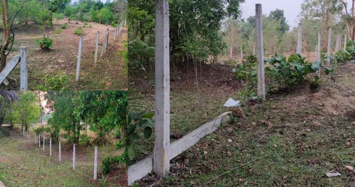Wire fencing installed for the protection of forests is being stolen, forest staff is not paying attention to the protection of forests