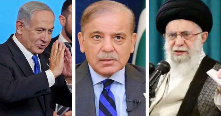 Pakistan should not commit the folly of meddling in other's matters