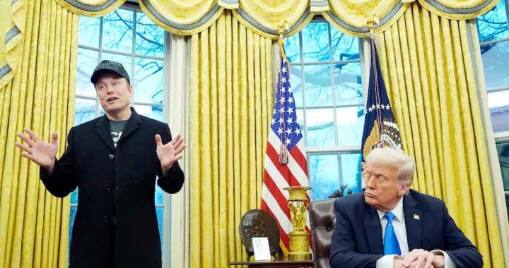 Trump is the king then Elon Musk is the king maker