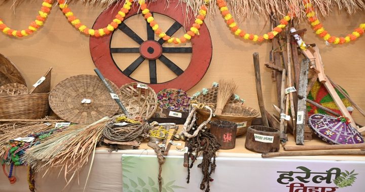Hareli Festival Chhattisgarh
