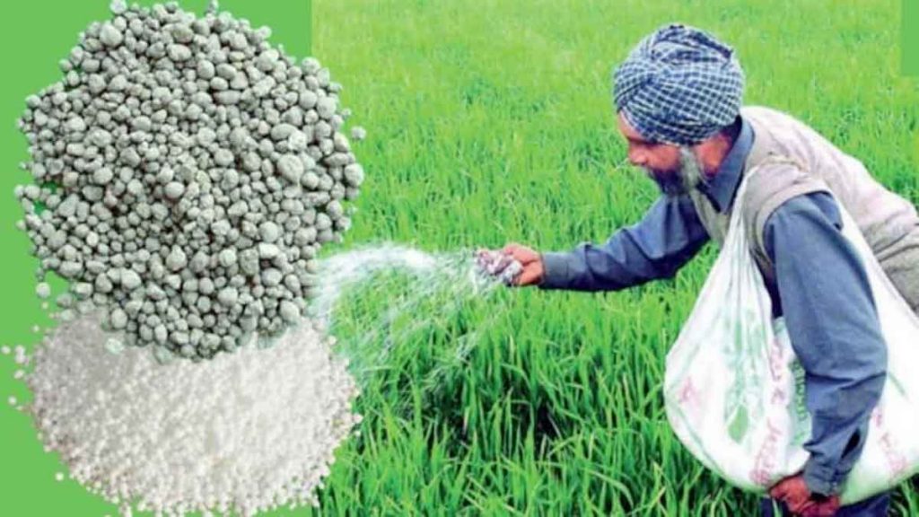 Effective initiatives are necessary to overcome the shortage of DAP fertilizer
