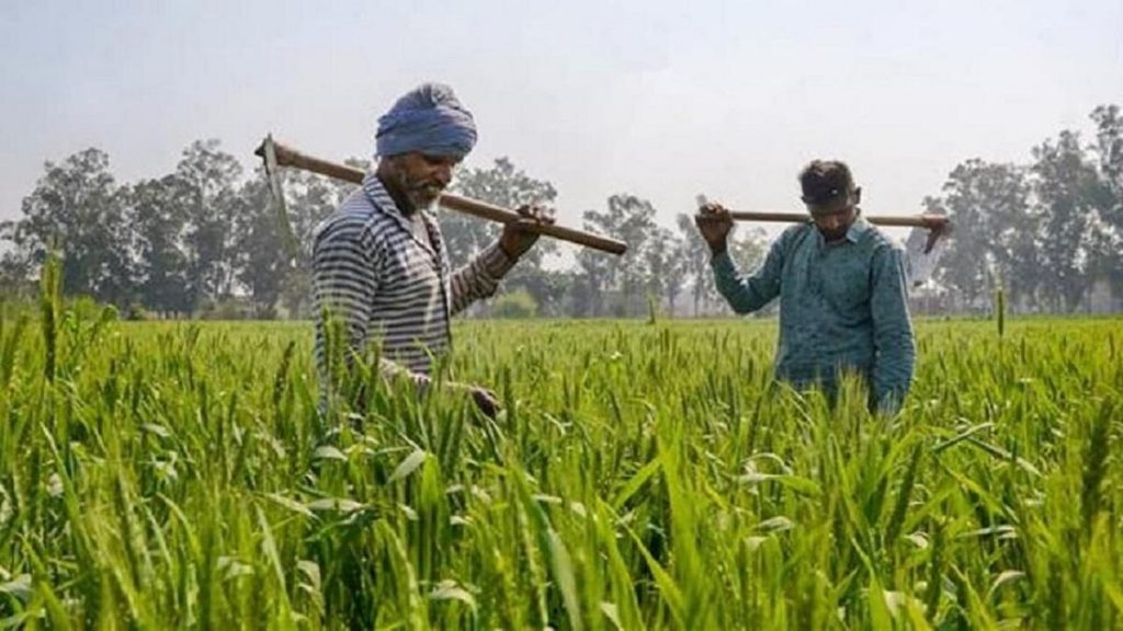 Chhattisgarh Agriculture Loan