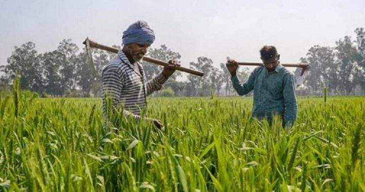 Chhattisgarh Agriculture Loan
