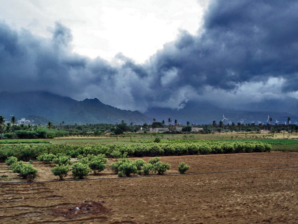 Monsoon In Chhattisgarh