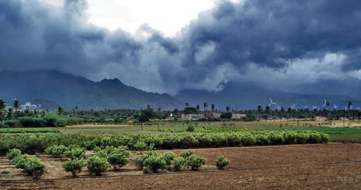 Monsoon In Chhattisgarh
