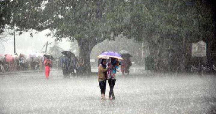 Raipur Rain Forecast