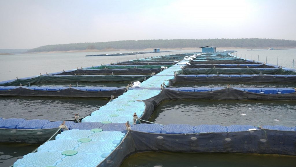 New flight to fisheries sector in Chhattisgarh… State’s first aqua park to be built in Hasdeo dubhan…