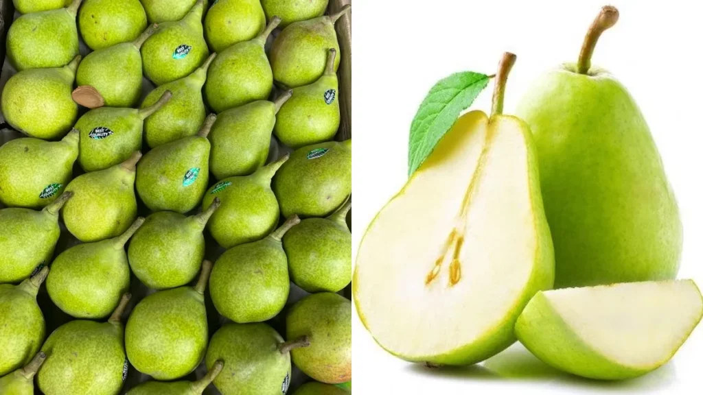 Babugosha is a treasure of health hidden in it… Know the vitamins found in this juicy fruit and its amazing benefits…