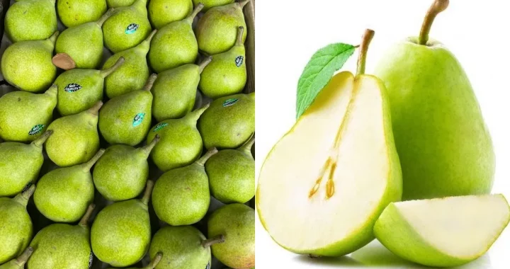 Babugosha is a treasure of health hidden in it… Know the vitamins found in this juicy fruit and its amazing benefits…