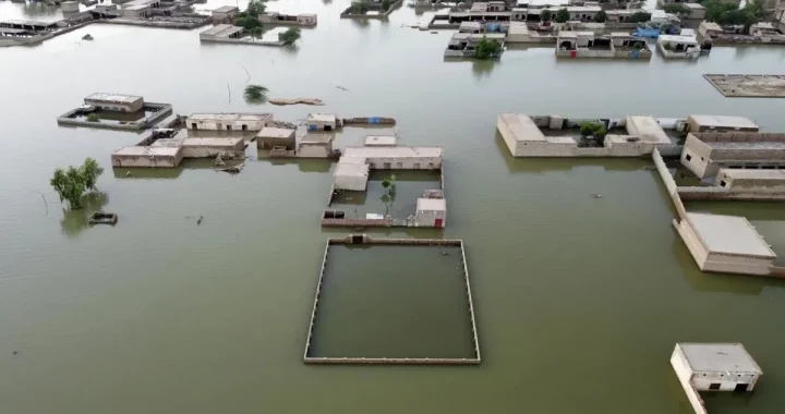 Pakistan Rain Death Toll