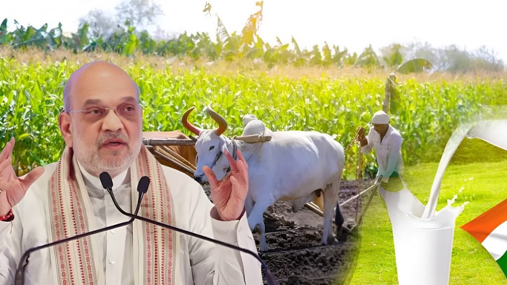 Amit Shah Seed Contract Farmers