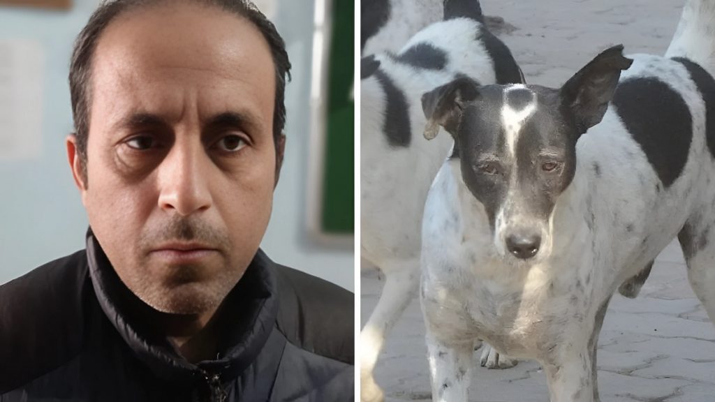 Prayagraj Dog Shooting