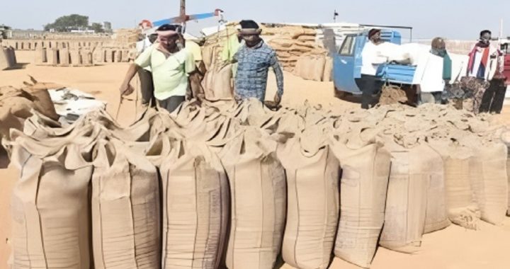 Chhattisgarh Paddy Procurement