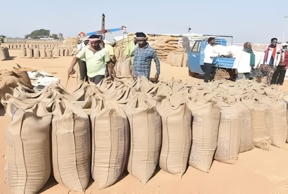 Chhattisgarh Paddy Procurement