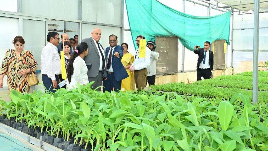 Chhattisgarh Rice Diversity
