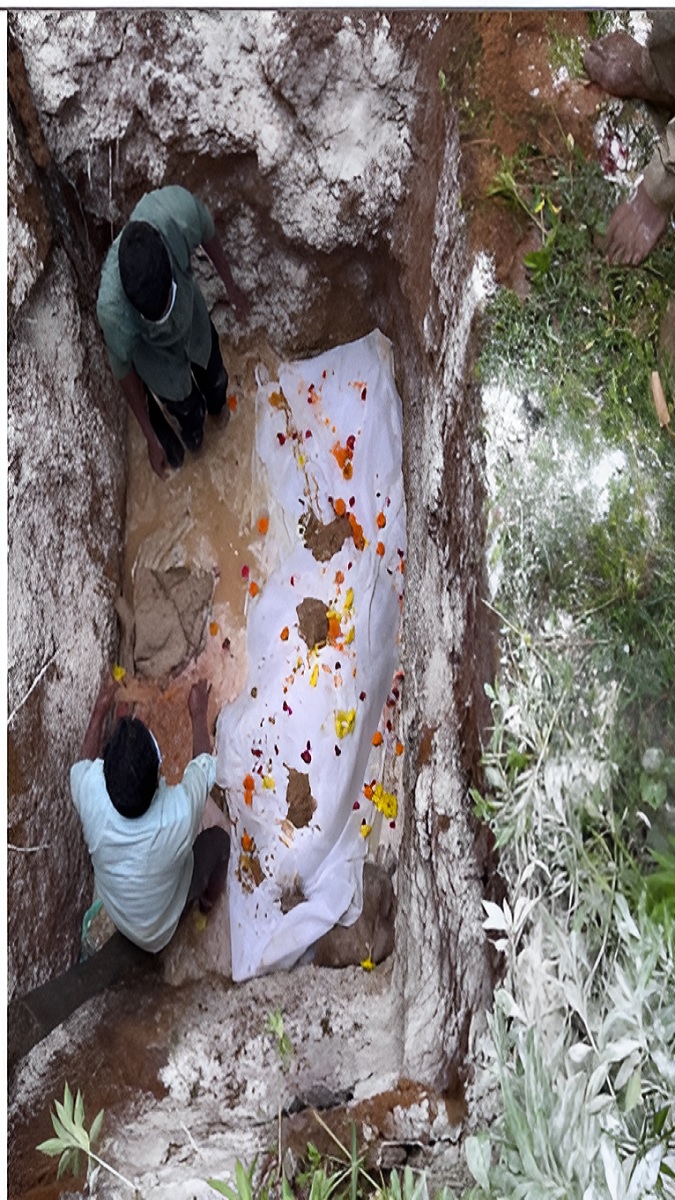 Baby Elephant Death Korba