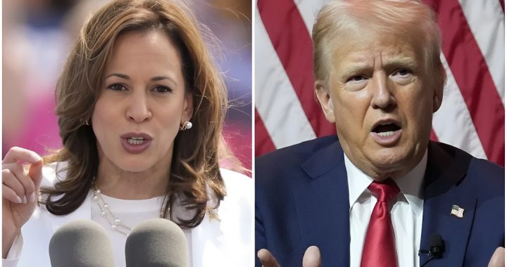 Trump Harris Secret Service