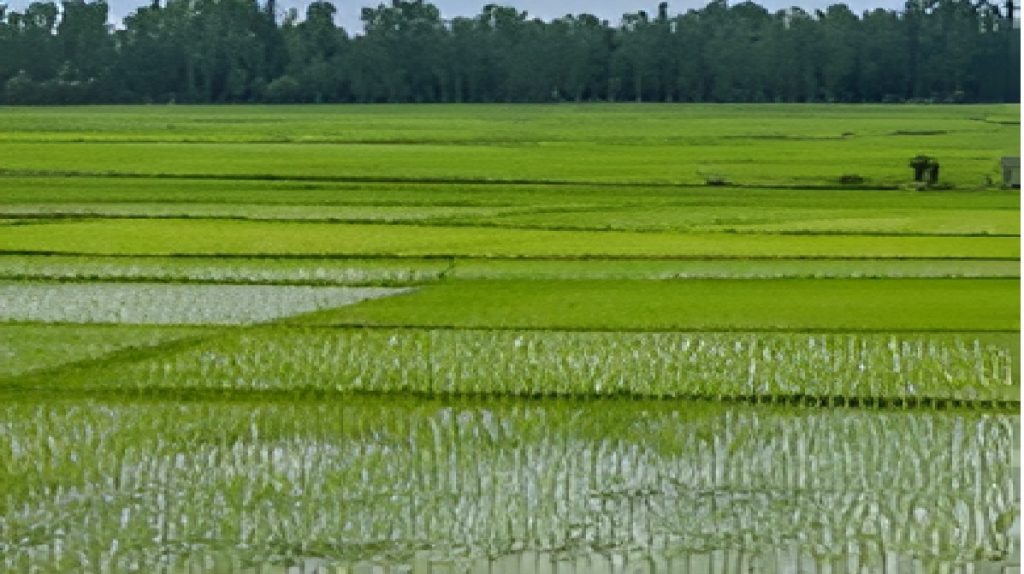 Agricultural Land Registry