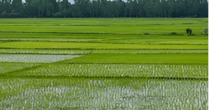 Agricultural Land Registry